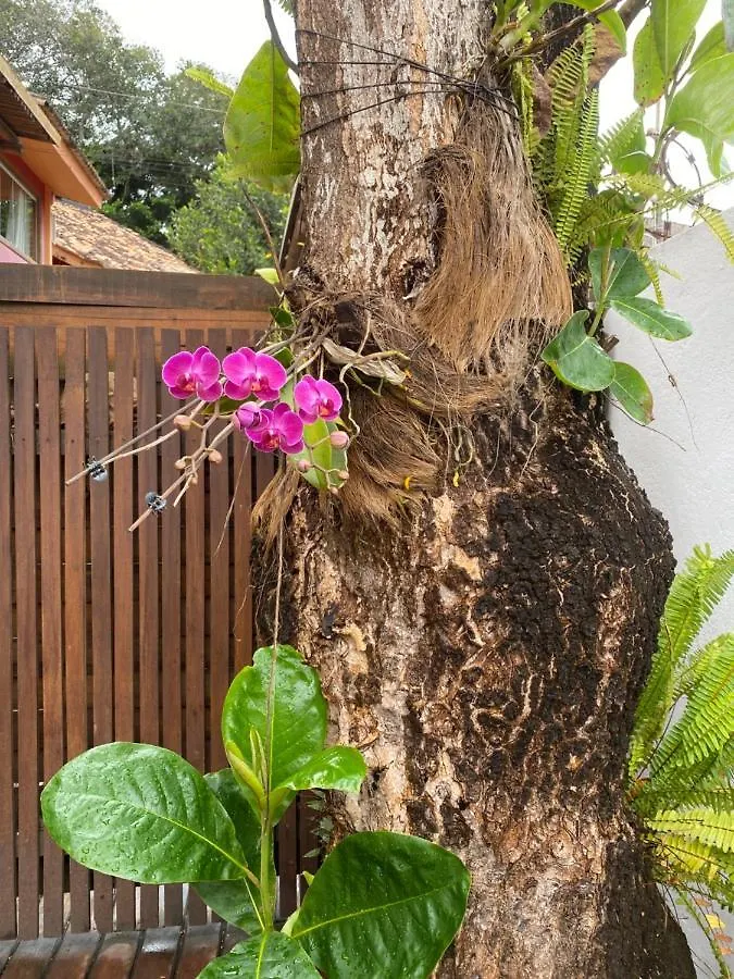 아파트 Flores Do Mar 포르투세구로